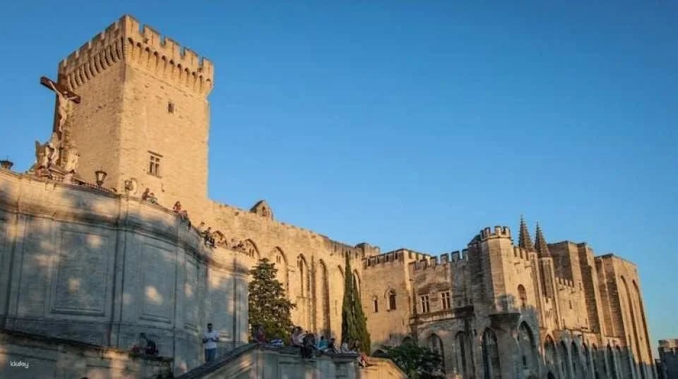 Palais des Papes entrance tickets and access to the Gardens