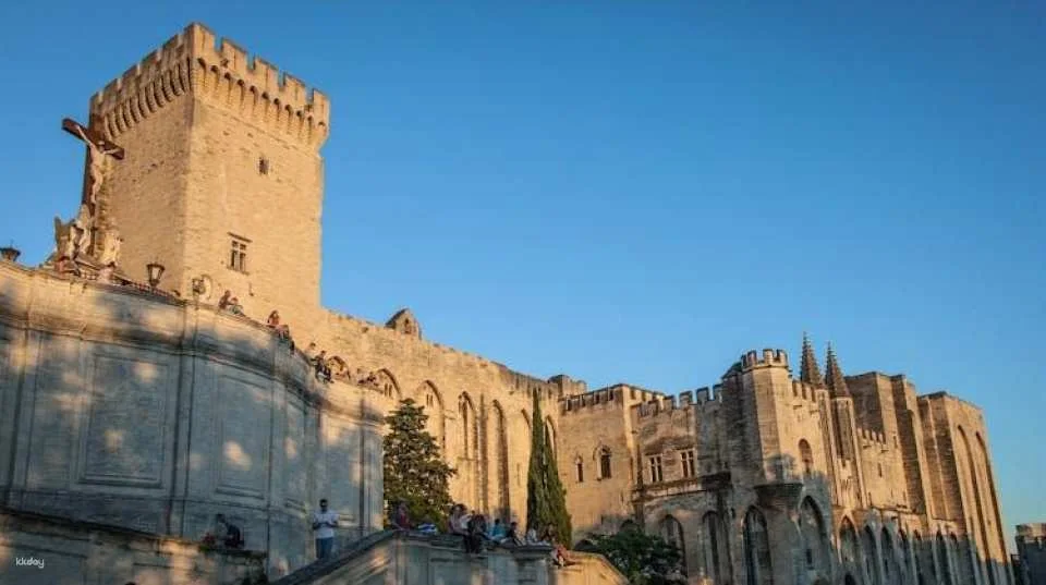 Palais des Papes entrance tickets and access to the Gardens