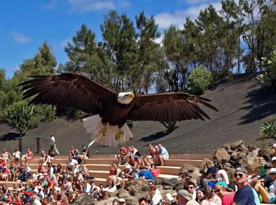 Rancho Texas Lanzarote Park Ticket