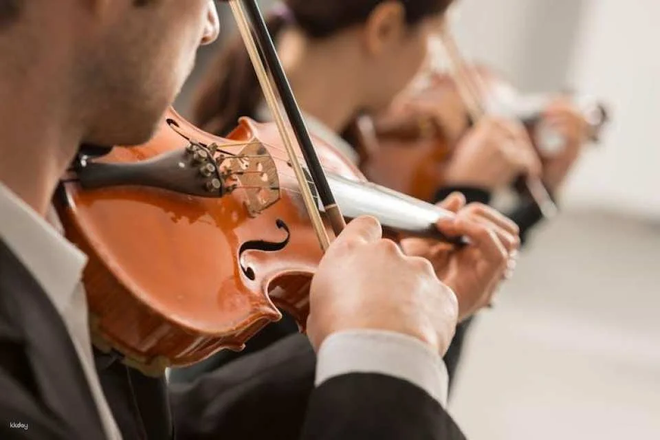 Self-guided walking tour and Mozart concert in Vienna