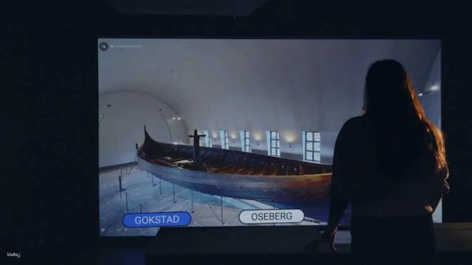 The Viking Planet experience
