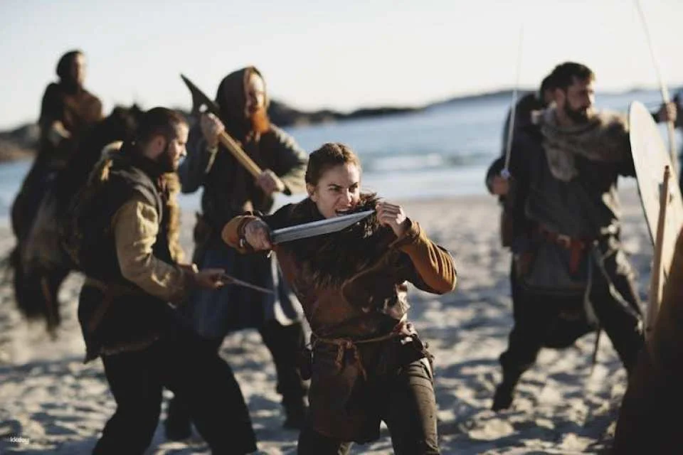 The Viking Planet experience