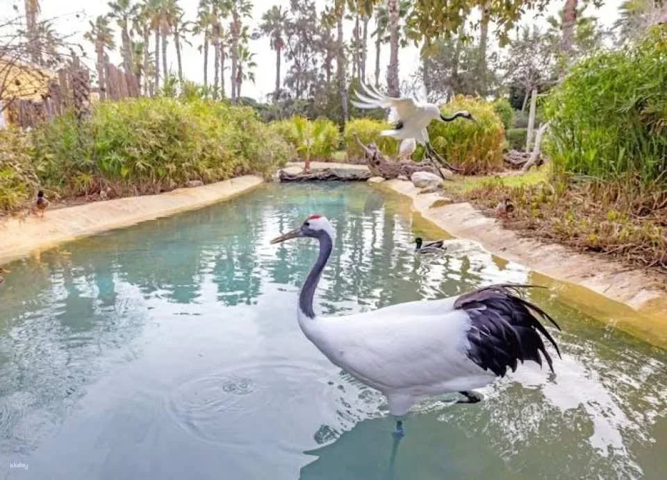 Terra Natura Zoo + Aqua Natura combined tickets