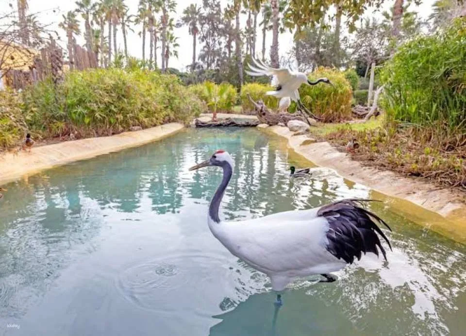 Terra Natura Zoo + Aqua Natura combined tickets