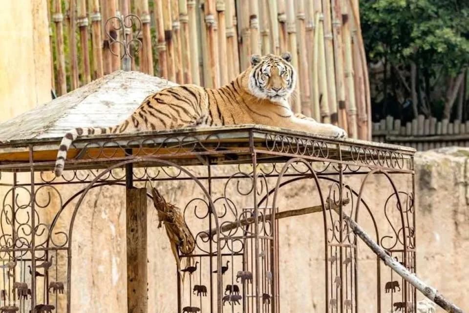 Terra Natura Zoo + Aqua Natura combined tickets