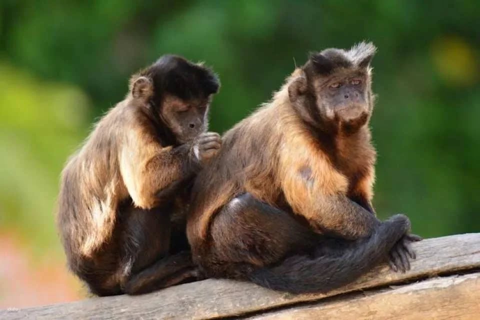 Terra Natura Zoo + Aqua Natura combined tickets