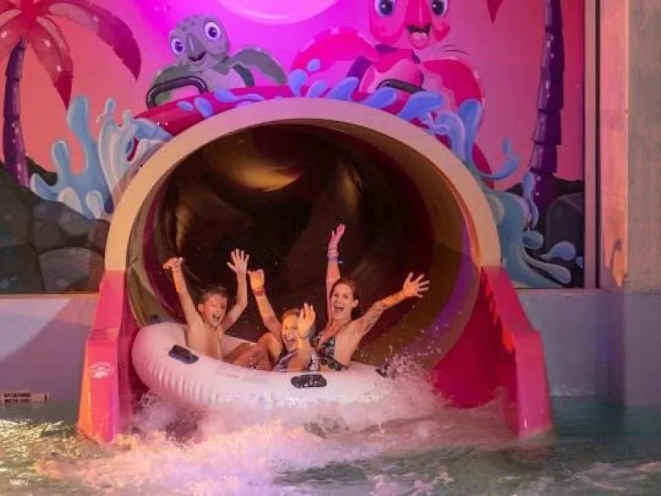 Day-pass ticket to Aquaparc on Lake Geneva