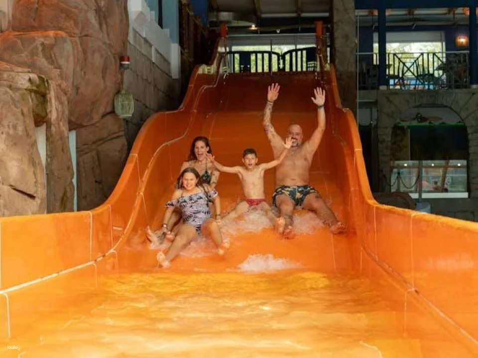 Day-pass ticket to Aquaparc on Lake Geneva