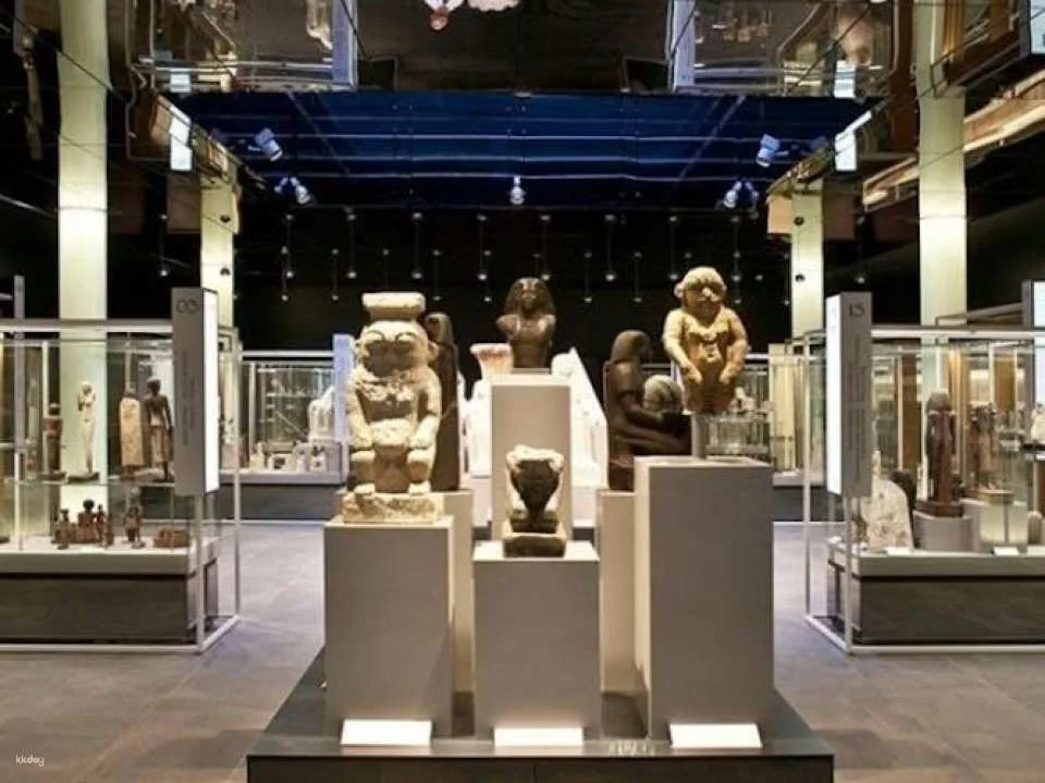 Turin Egyptian Museum entrance tickets