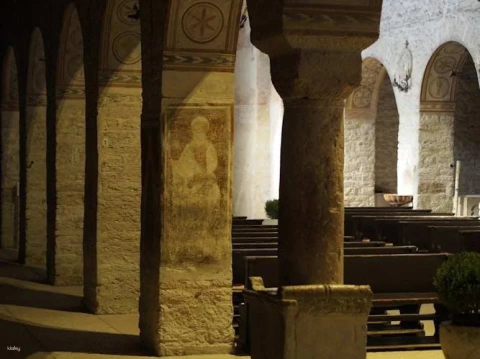 Valpolicella experience, wine and lunch guided tour from Lake Garda