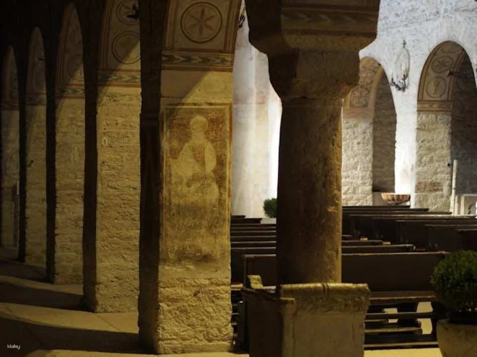 Valpolicella experience, wine and lunch guided tour from Lake Garda