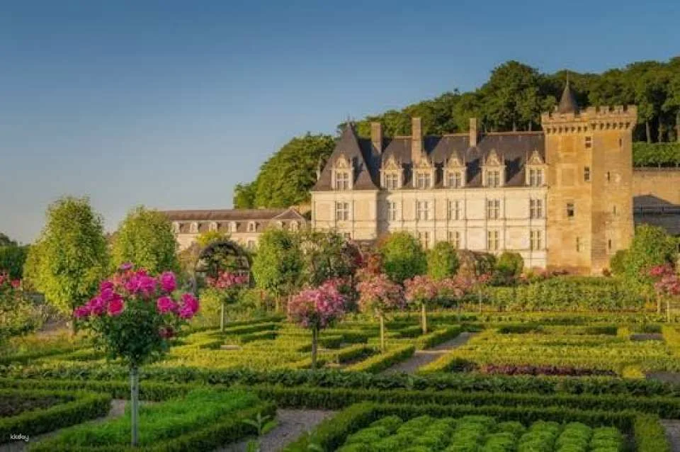 Entrance ticket to Château de Villandry and gardens (610467)