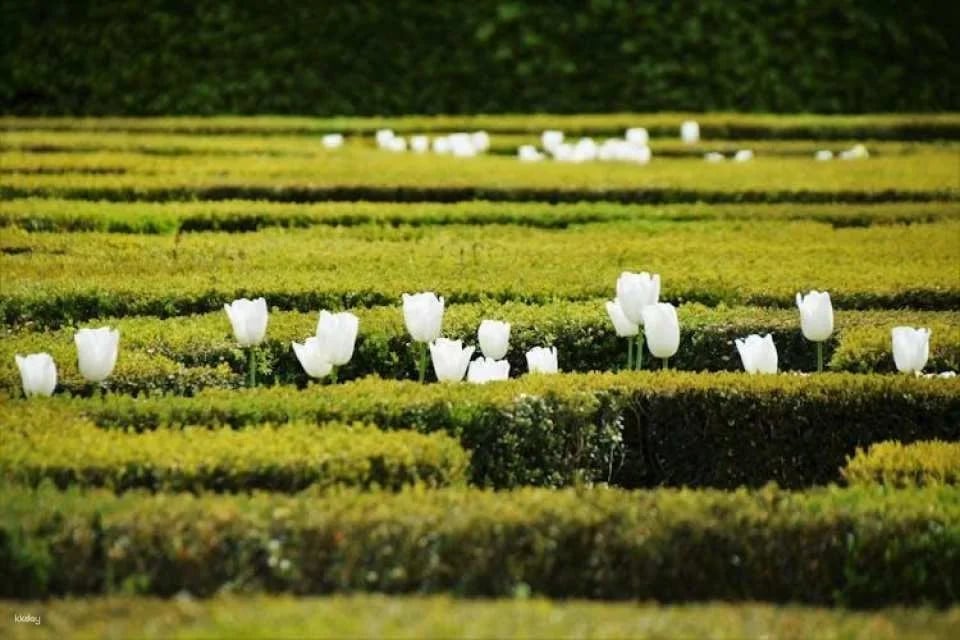 Entrance ticket to Château de Villandry and gardens
