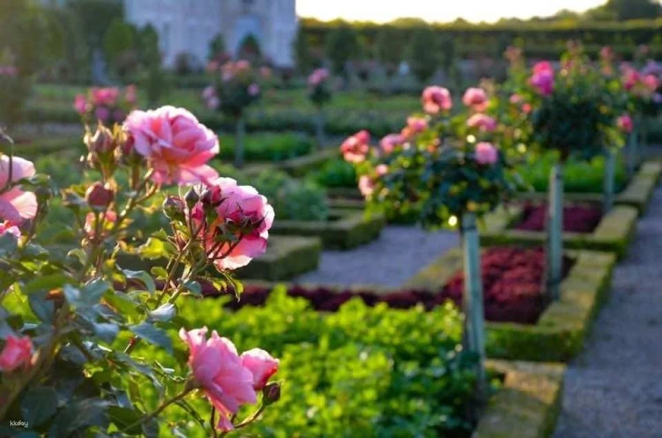 Entrance ticket to Château de Villandry and gardens