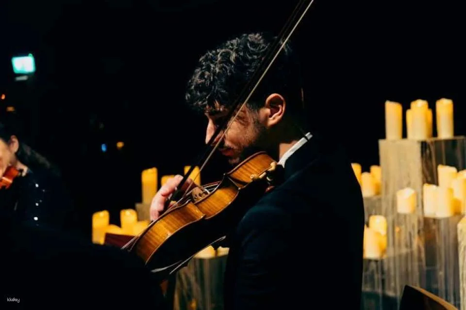 The Candlelight dinner concert in Vienna