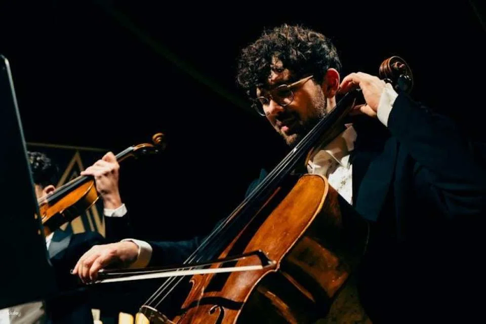 The Candlelight dinner concert in Vienna