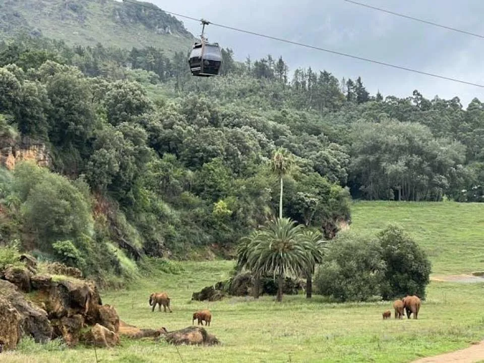 Cabárceno Nature Park entrance tickets