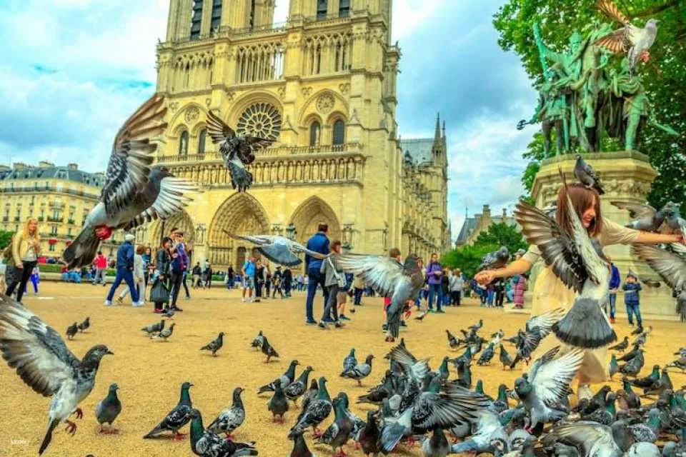 Notre-Dame Cathedral with a self-guided audio app