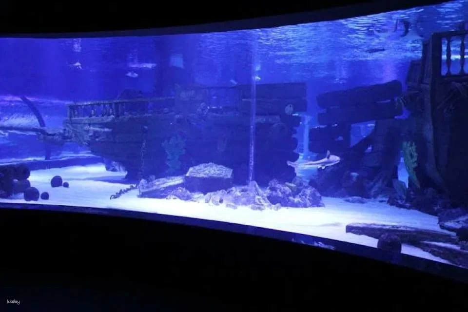 Antalya Aquarium Ticket for Kemer hotels