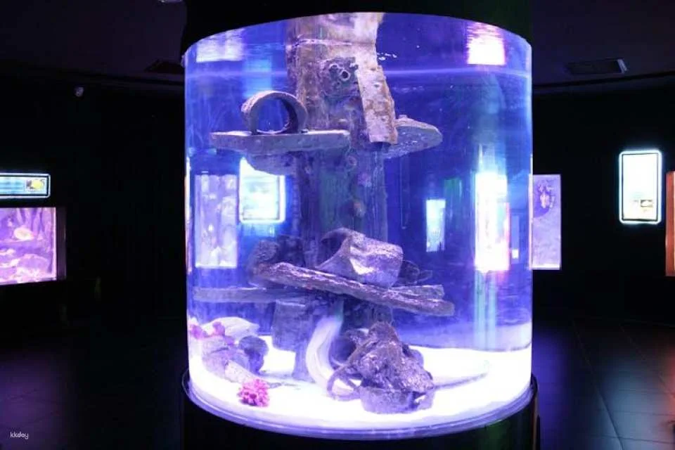 Antalya Aquarium Ticket for Kemer hotels