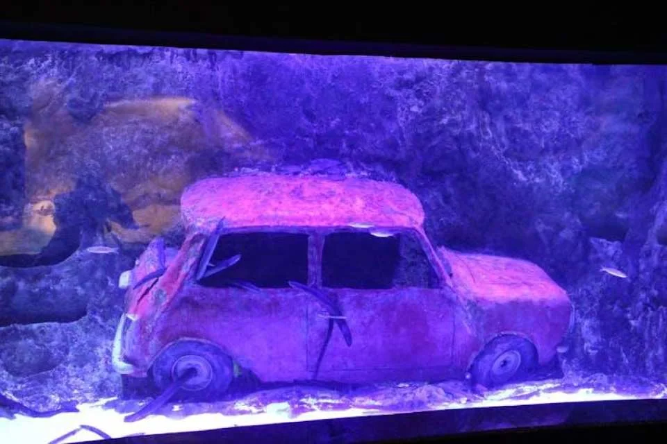 Antalya Aquarium Ticket for Kemer hotels
