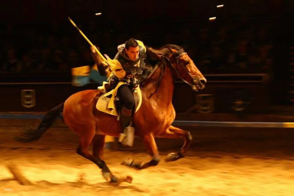 Tenerife Medieval Show with Transfer