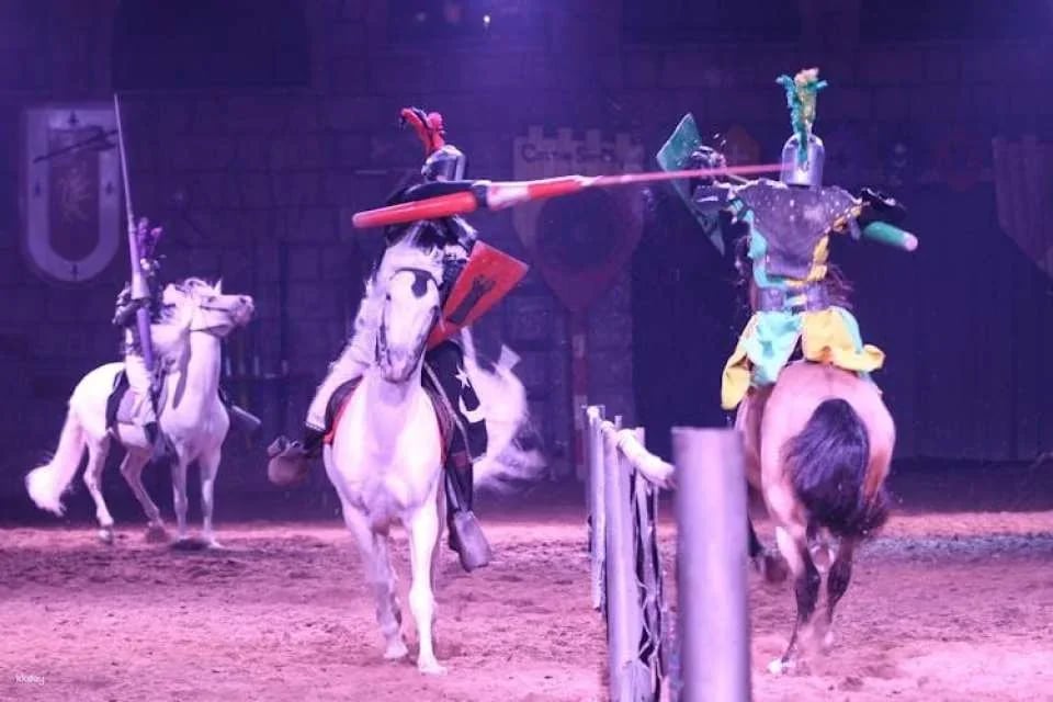 Tenerife Medieval Show with Transfer