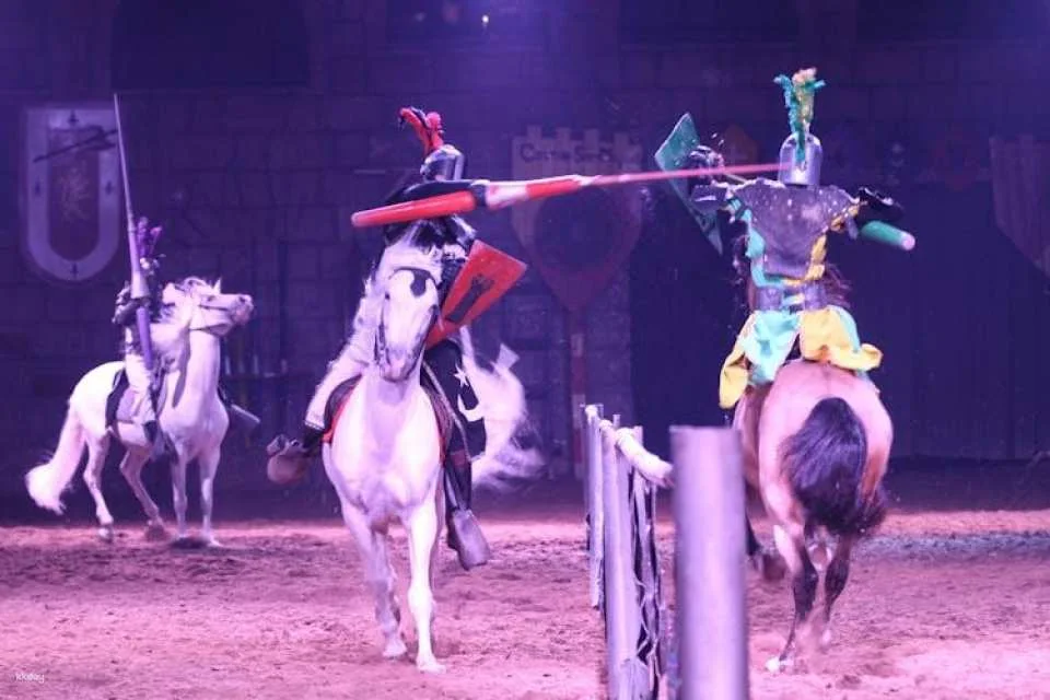 Tenerife Medieval Show with Transfer
