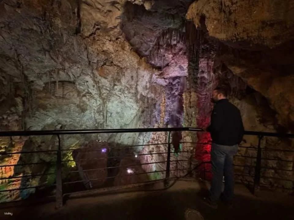 Canelobre Caves and Busot Ethnic Music Museum guided tour from Alicante
