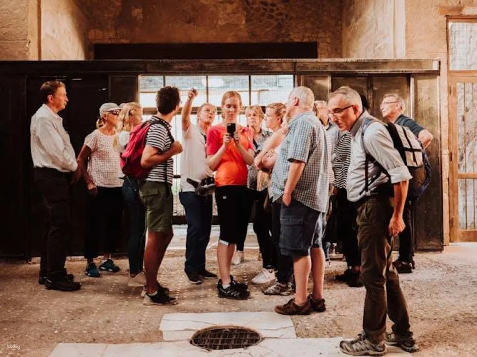 Herculaneum Small Group Tour With an Archaeologist