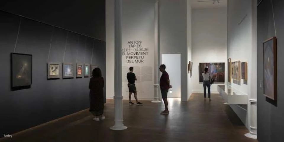Tickets for the Tàpies Museum
