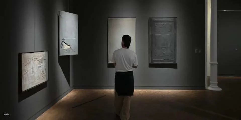 Tickets for the Tàpies Museum