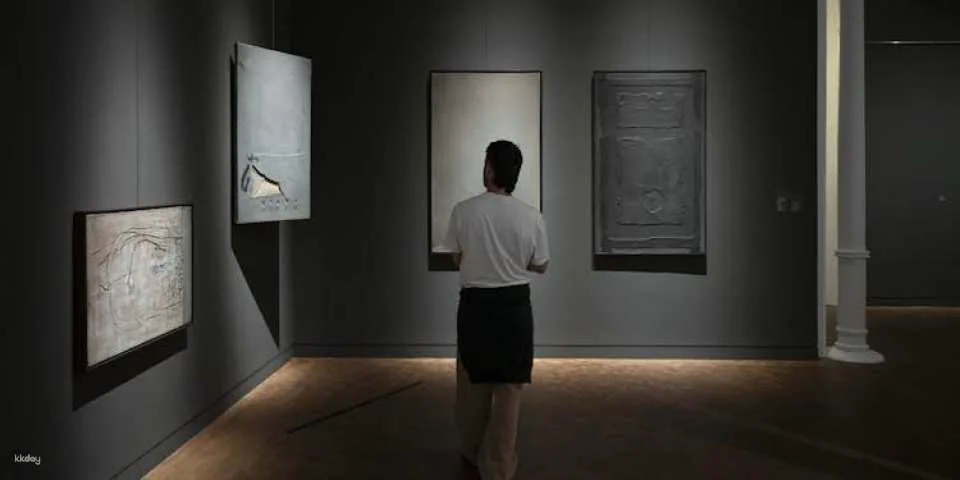 Tickets for the Tàpies Museum
