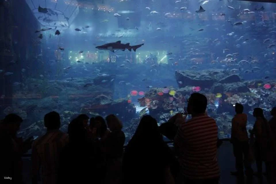 Dubai Aquarium and Underwater Zoo gold pass