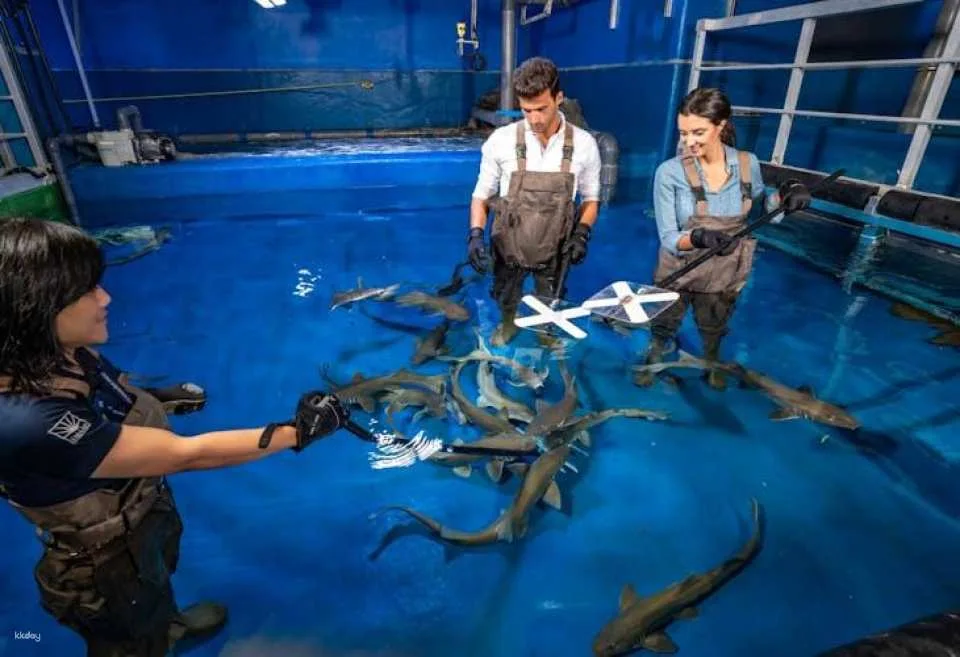 Dubai Aquarium and Underwater Zoo gold pass