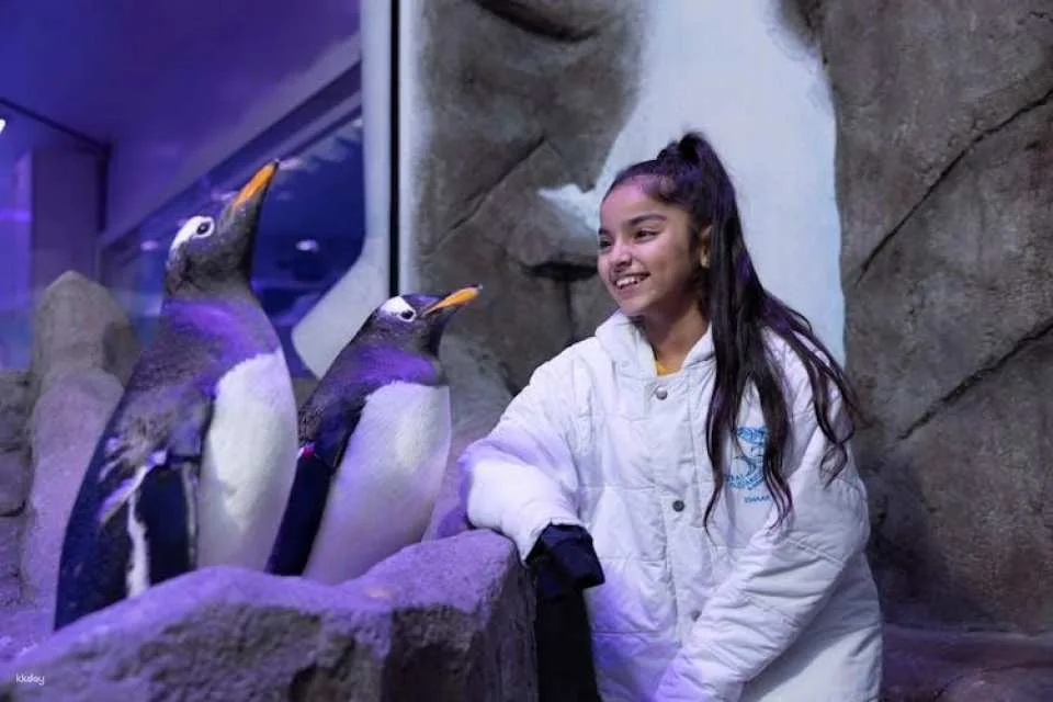 Dubai Aquarium and Underwater Zoo gold pass
