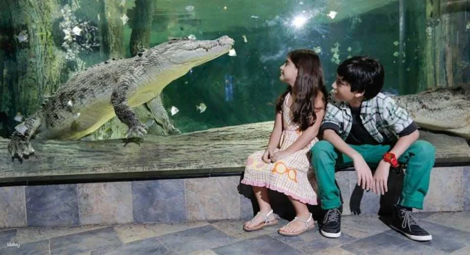 Dubai Aquarium and Underwater Zoo gold pass