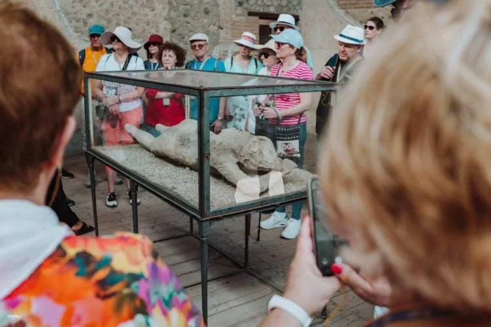 Amphitheatre of Pompeii Tour with an Archaeologist
