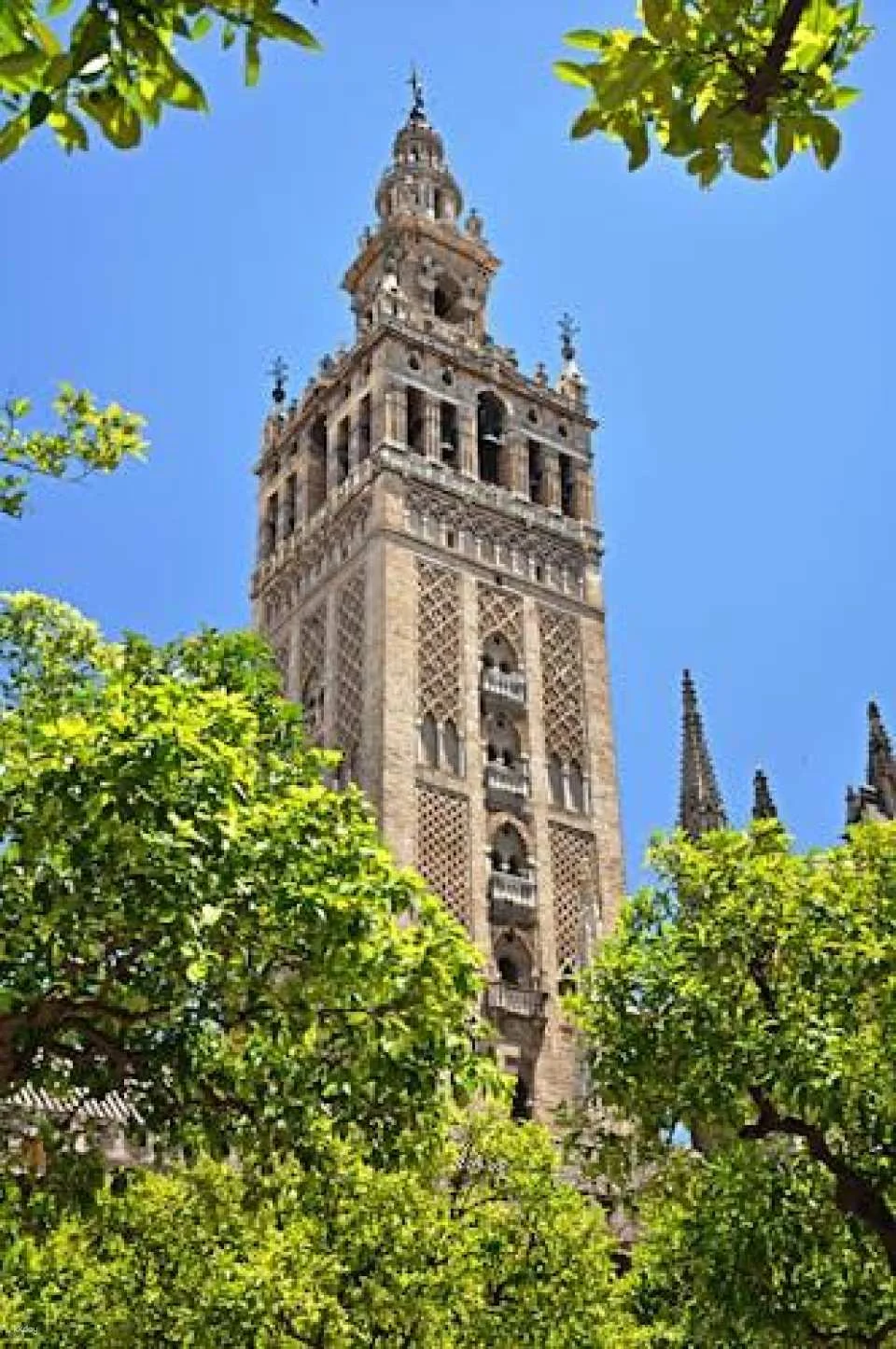 Seville Private Tour: Cathedral, Giralda and Alcazar Tickets