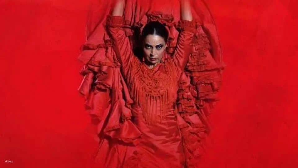 The premium experience at Teatro Flamenco Málaga