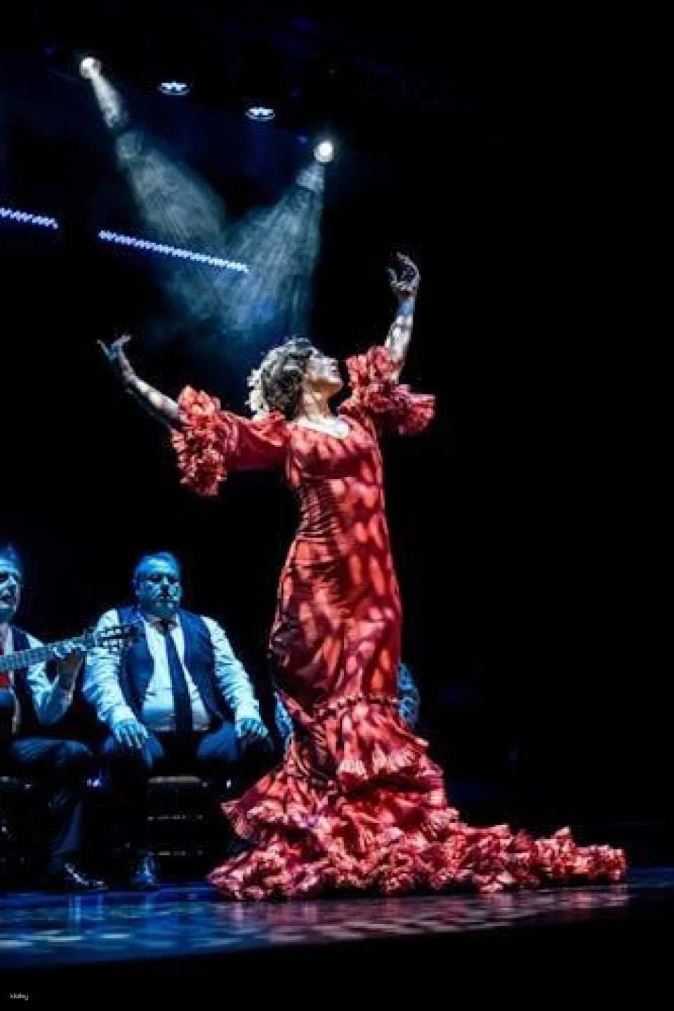 The premium experience at Teatro Flamenco Málaga