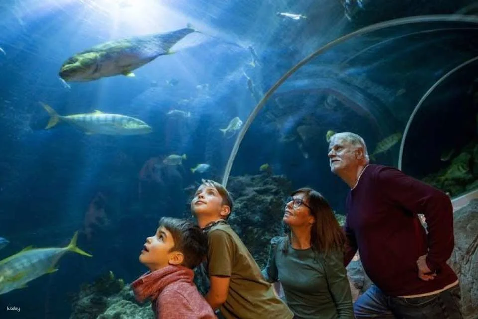 LEGOLAND Discovery Centre and SEA LIFE Oberhausen Combo Ticket