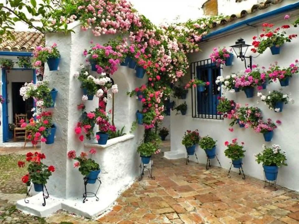 Patios of Cordoba guided tour