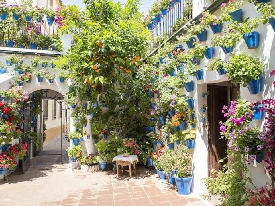 Patios of Cordoba guided tour