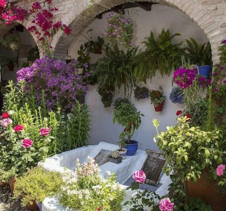 Patios of Cordoba guided tour