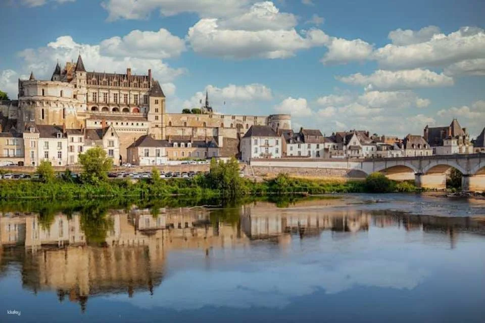 Skip-the-line tickets to the Château Royal d'Amboise