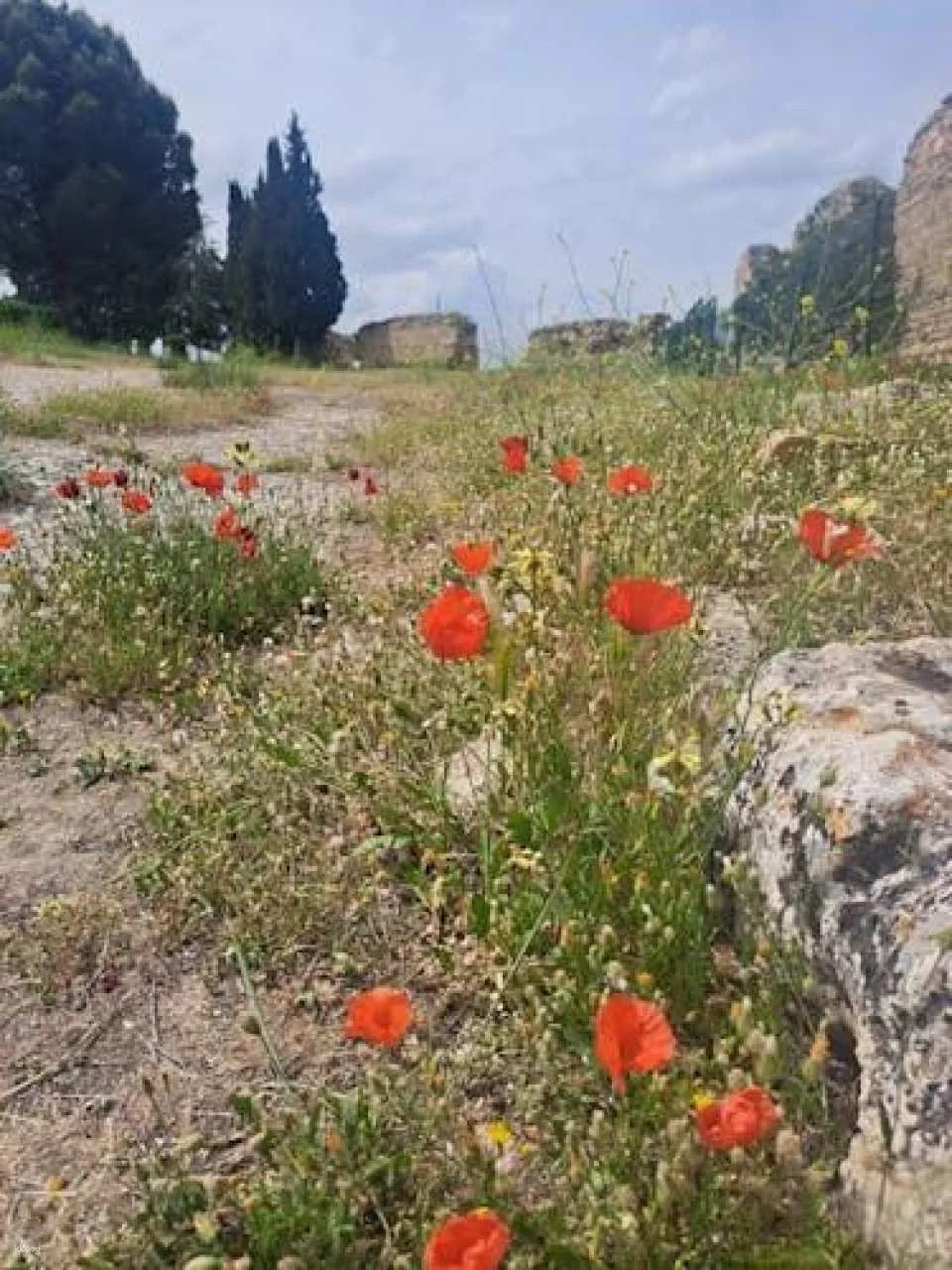 Pamukkale and Hierapolis private tour with lunch