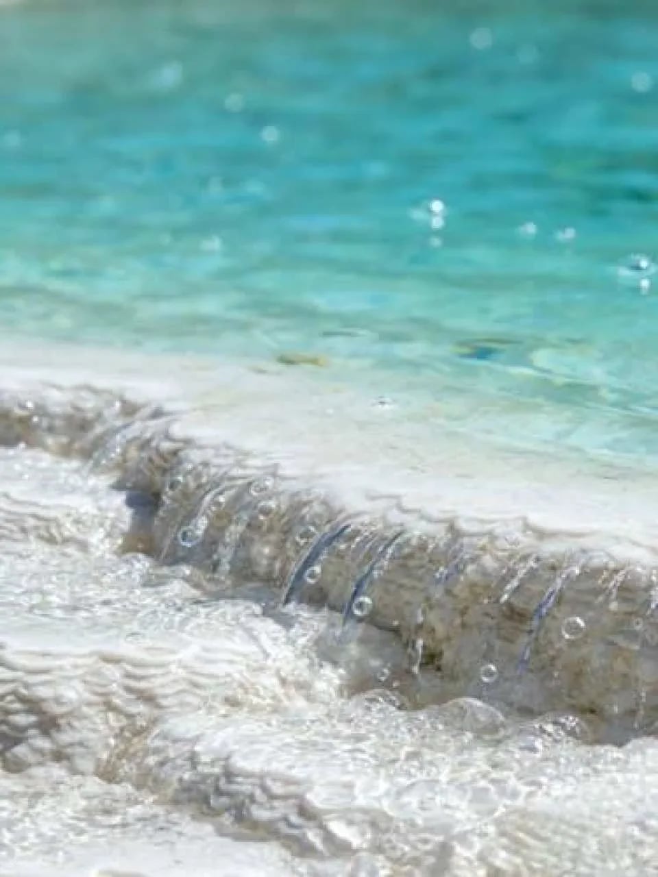 Pamukkale and Hierapolis private tour with lunch