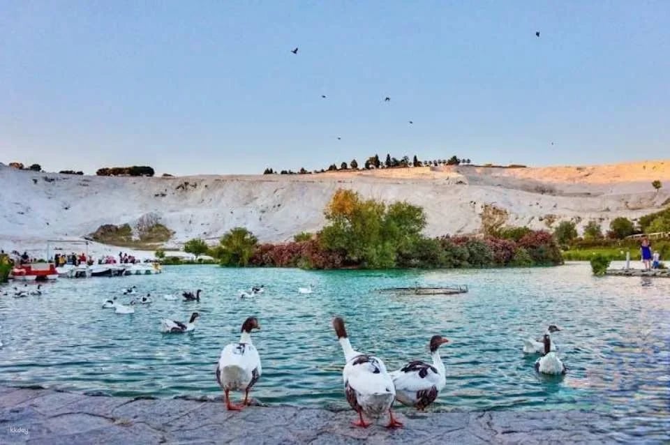 Pamukkale and Hierapolis private tour with lunch