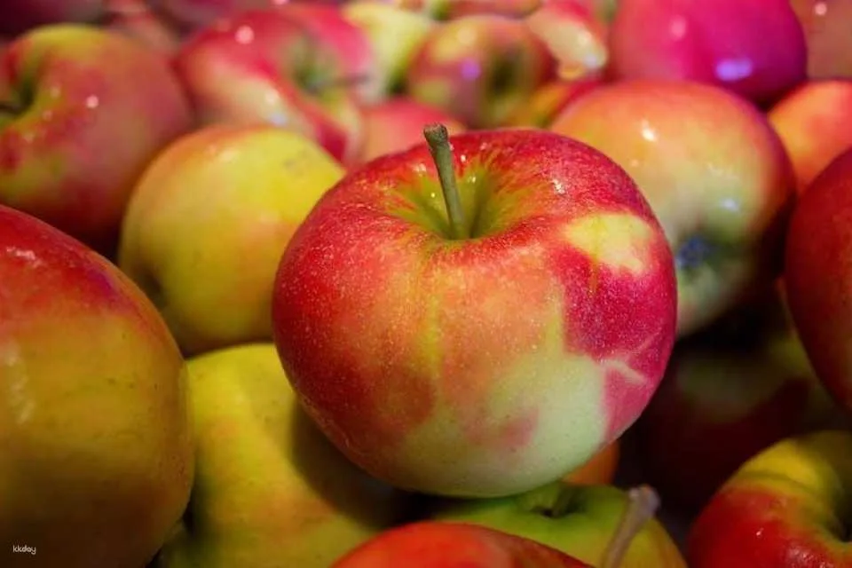 Honfleur market food tour with tastings